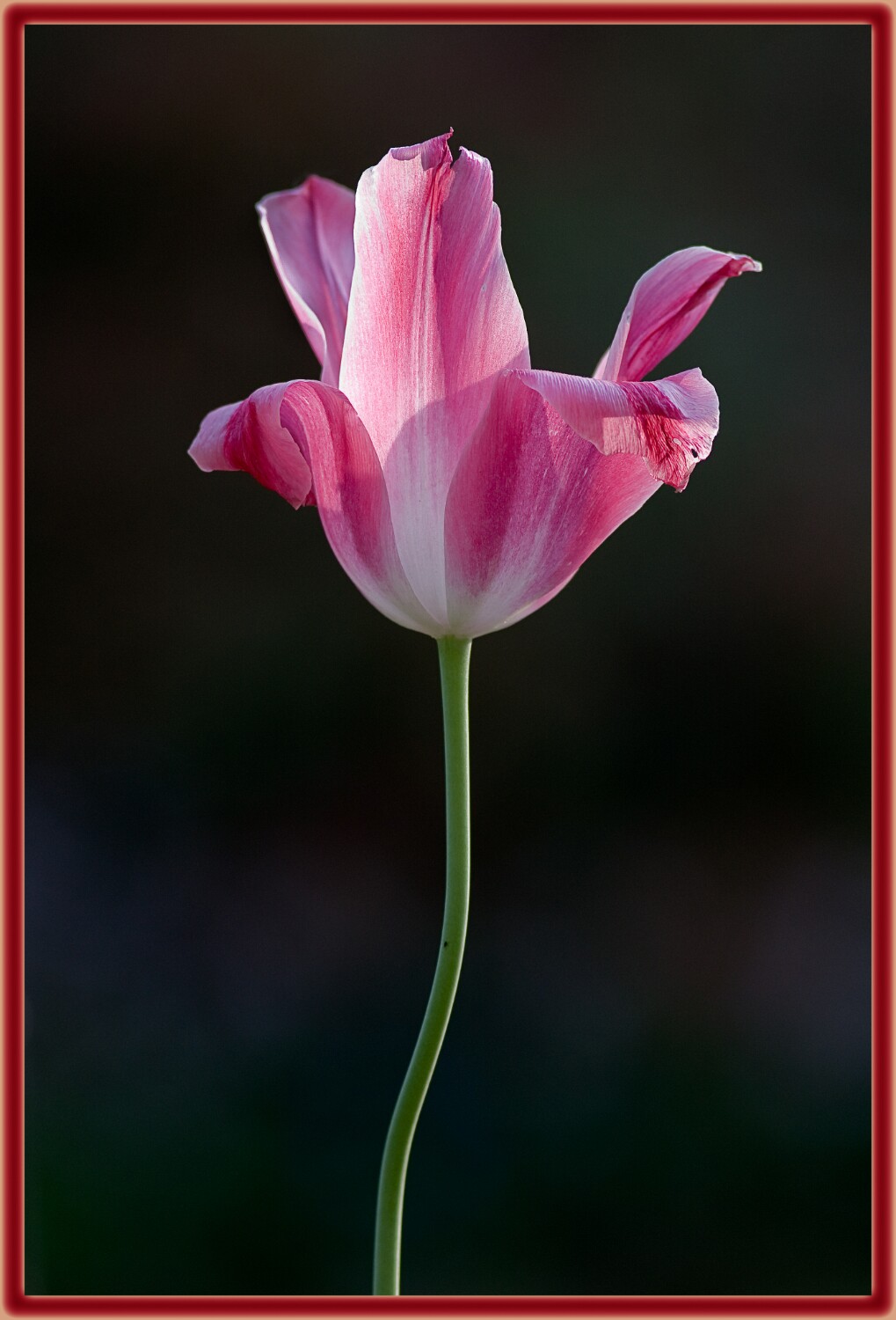 IMG_5776 EOS-1D Mark III web.jpg